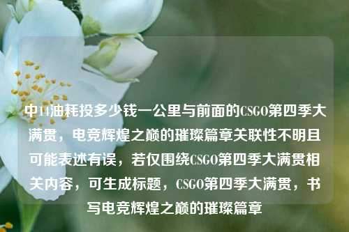 中14油耗投多少钱一公里与前面的CSGO第四季大满贯,电竞辉煌之巅的璀璨篇章关联性不明且可能表述有误,若仅围绕CSGO第四季大满贯相关内容,可生成标题,CSGO第四季大满贯,书写电竞辉煌之巅的璀璨篇章
