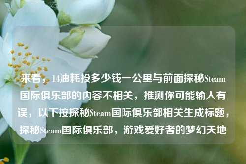来看,14油耗投多少钱一公里与前面探秘Steam国际俱乐部的内容不相关,推测你可能输入有误,以下按探秘Steam国际俱乐部相关生成标题,探秘Steam国际俱乐部,游戏爱好者的梦幻天地