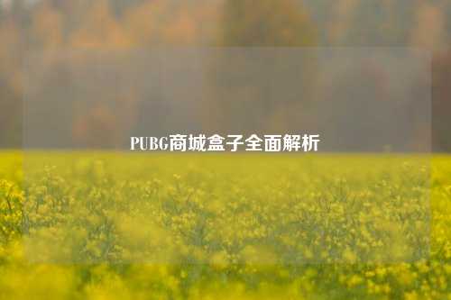 PUBG商城盒子全面解析