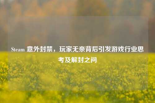 Steam 意外封禁,玩家无奈背后引发游戏行业思考及解封之问