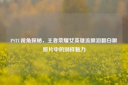 PSTU视角探秘,王者荣耀女英雄流眼泪翻白眼照片中的别样魅力