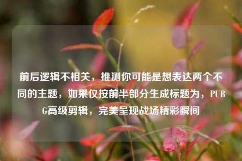 前后逻辑不相关,推测你可能是想表达两个不同的主题,如果仅按前半部分生成标题为,PUBG高级剪辑,完美呈现战场精彩瞬间