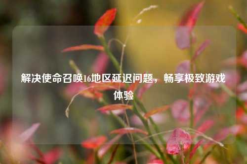 解决使命召唤16地区延迟问题，畅享极致游戏体验