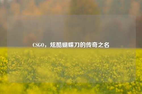 CSGO,炫酷蝴蝶刀的传奇之名