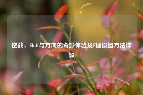逆战,Shift与方向的奇妙体验及F键设置方法详解