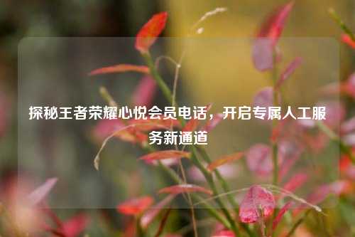 探秘王者荣耀心悦会员电话，开启专属人工服务新通道