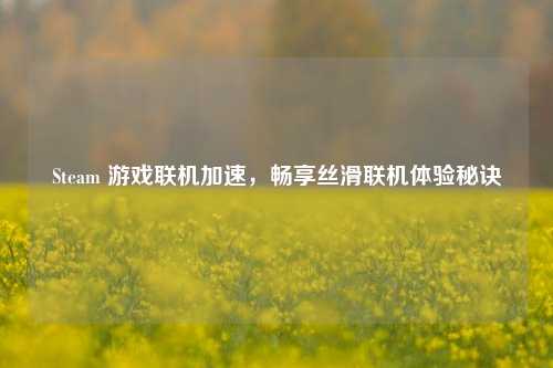 Steam 游戏联机加速,畅享丝滑联机体验秘诀