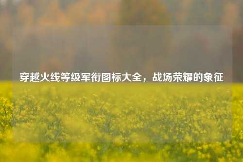 穿越火线等级军衔图标大全，战场荣耀的象征
