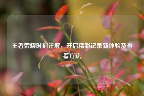 王者荣耀时刻详解，开启精彩记录新体验及查看方法