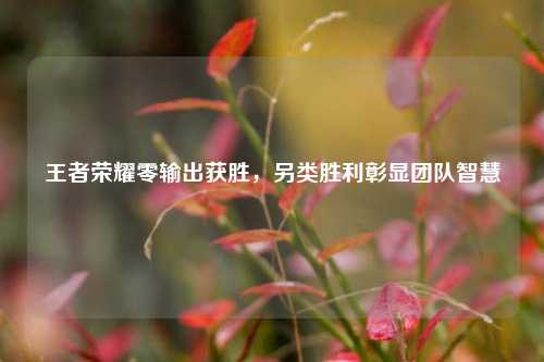 王者荣耀零输出获胜,另类胜利彰显团队智慧
