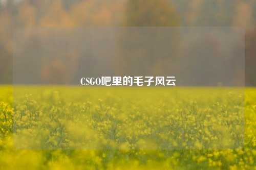 CSGO吧里的毛子风云
