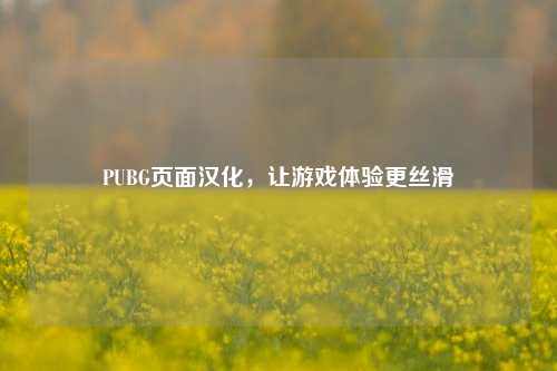 PUBG页面汉化,让游戏体验更丝滑
