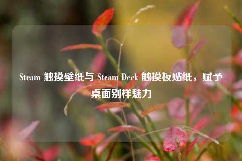 Steam 触摸壁纸与 Steam Deck 触摸板贴纸，赋予桌面别样魅力
