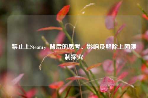 禁止上Steam,背后的思考、影响及解除上网限制探究