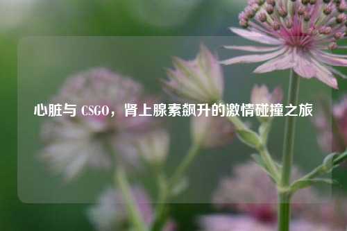 心脏与 CSGO，肾上腺素飙升的激情碰撞之旅