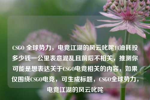 CSGO 全球势力，电竞江湖的风云叱咤14油耗投多少钱一公里表意混乱且前后不相关，推测你可能是想表达关于CSGO电竞相关的内容，如果仅围绕CSGO电竞，可生成标题，CSGO全球势力，电竞江湖的风云叱咤