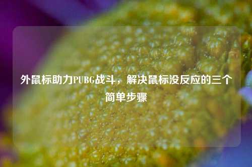 外鼠标助力PUBG战斗，解决鼠标没反应的三个简单步骤