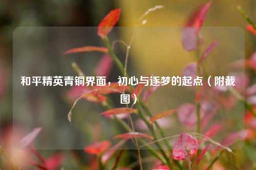 和平精英青铜界面，初心与逐梦的起点（附截图）