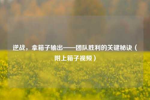 逆战,拿箱子输出——团队胜利的关键秘诀(附上箱子视频)