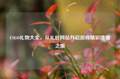 CSGO礼物大全,从礼包网站开启游戏精彩馈赠之旅