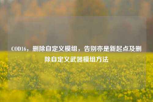COD16,删除自定义模组,告别亦是新起点及删除自定义武器模组方法