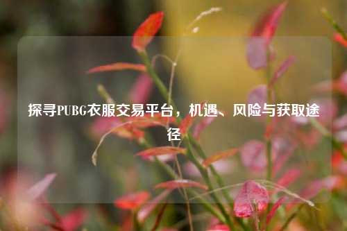 探寻PUBG衣服交易平台，机遇、风险与获取途径