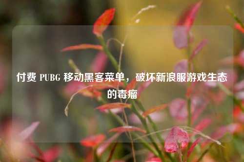 付费 PUBG 移动黑客菜单，破坏新浪服游戏生态的毒瘤
