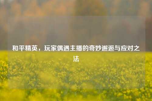 和平精英,玩家偶遇主播的奇妙邂逅与应对之法