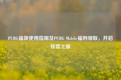 PUBG福袋使用指南及PUBG Mobile福利领取,开启惊喜之旅