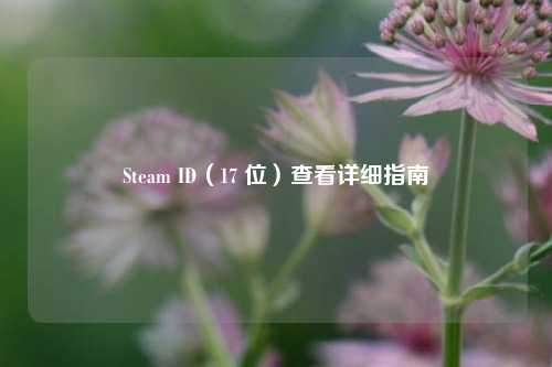 Steam ID（17 位）查看详细指南