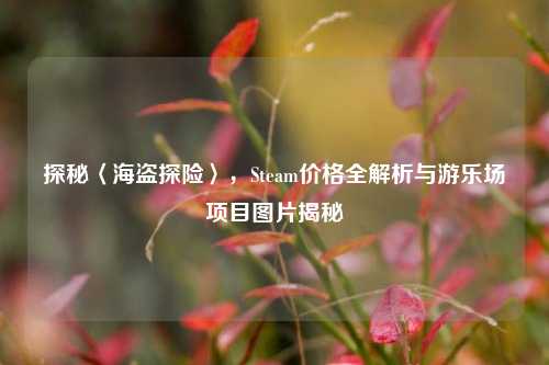 探秘〈海盗探险〉，Steam价格全解析与游乐场项目图片揭秘