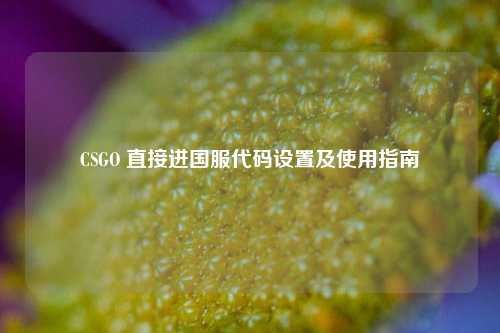 CSGO 直接进国服代码设置及使用指南
