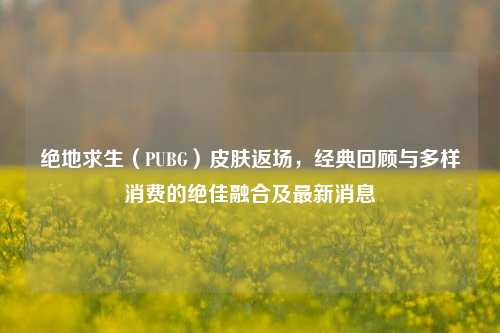 绝地求生（PUBG）皮肤返场，经典回顾与多样消费的绝佳融合及最新消息