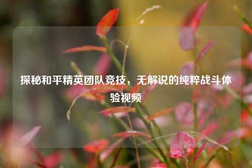 探秘和平精英团队竞技，无解说的纯粹战斗体验视频