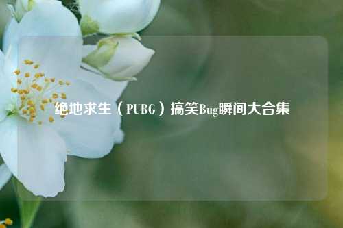 绝地求生(PUBG)搞笑Bug瞬间大合集