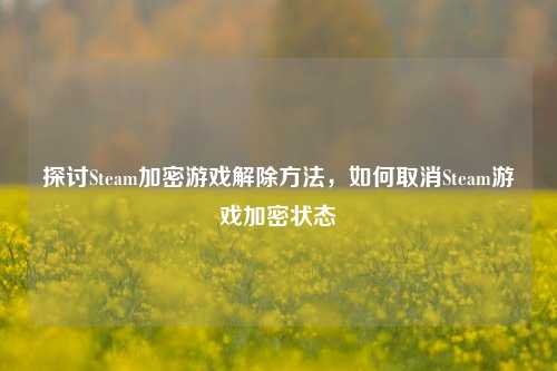 探讨Steam加密游戏解除方法,如何取消Steam游戏加密状态