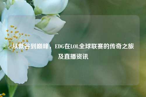从低谷到巅峰,EDG在LOL全球联赛的传奇之旅及直播资讯
