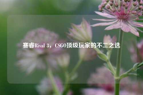 赛睿Rival 3,CSGO顶级玩家的不二之选