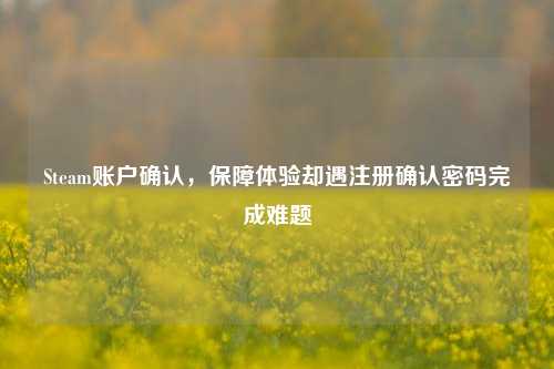 Steam账户确认，保障体验却遇注册确认密码完成难题