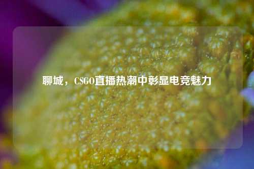 聊城，CSGO直播热潮中彰显电竞魅力