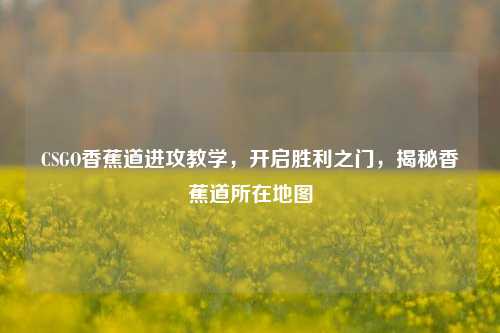 CSGO香蕉道进攻教学,开启胜利之门,揭秘香蕉道所在地图