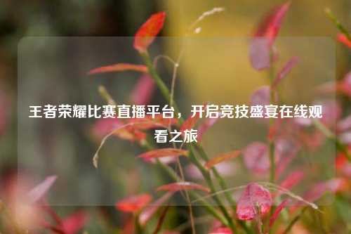 王者荣耀比赛直播平台,开启竞技盛宴在线观看之旅