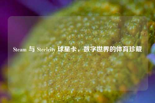 Steam 与 Steelcity 球星卡,数字世界的体育珍藏