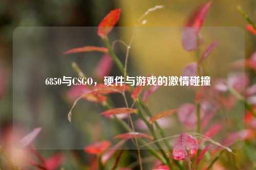 6850与CSGO，硬件与游戏的激情碰撞