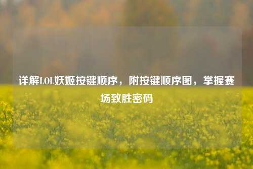 详解LOL妖姬按键顺序,附按键顺序图,掌握赛场致胜密码