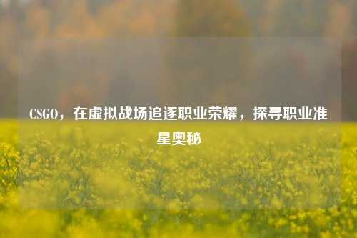 CSGO,在虚拟战场追逐职业荣耀,探寻职业准星奥秘