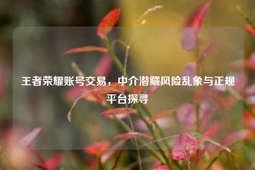 王者荣耀账号交易，中介潜藏风险乱象与正规平台探寻