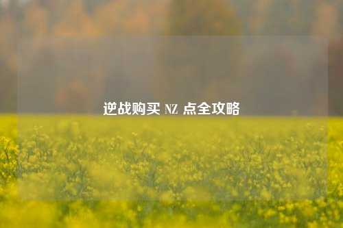 逆战购买 NZ 点全攻略