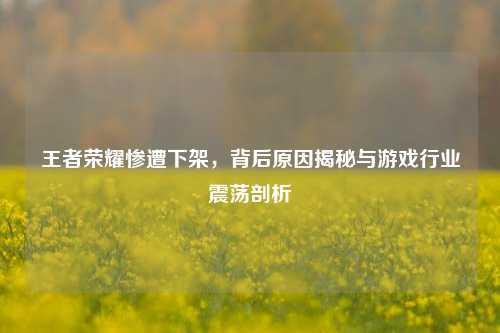 王者荣耀惨遭下架，背后原因揭秘与游戏行业震荡剖析