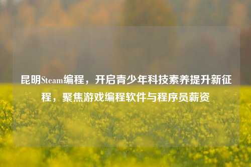 昆明Steam编程，开启青少年科技素养提升新征程，聚焦游戏编程软件与程序员薪资